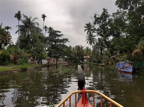 The Backwaters of Kochi (India) are looking like a good video game. : r/pics