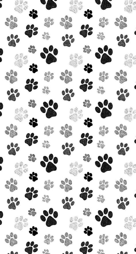 Cat And Dog Paws Background