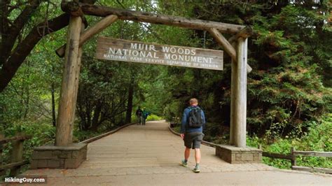 Muir Woods Main Trail - HikingGuy.com