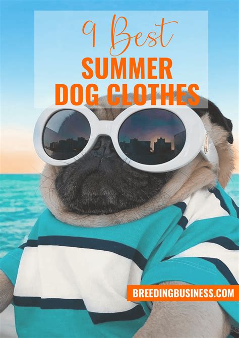 9 Best Dog Summer Clothes – Cooling Outfits for Dogs in the Summer!