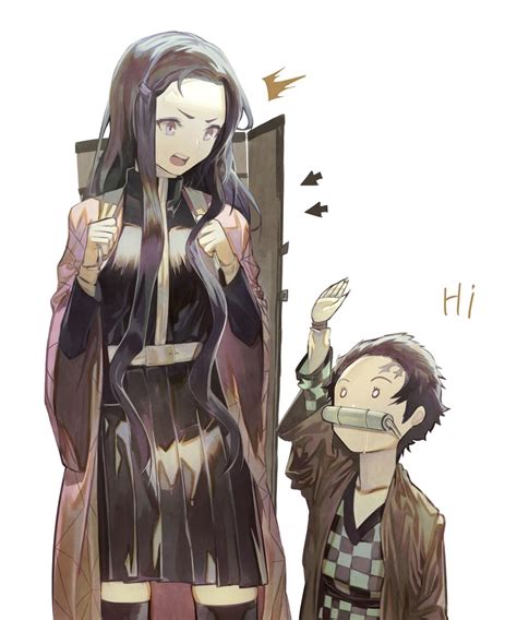 If Nezuko and Tanjiro switch places : r/DemonSlayerAnime