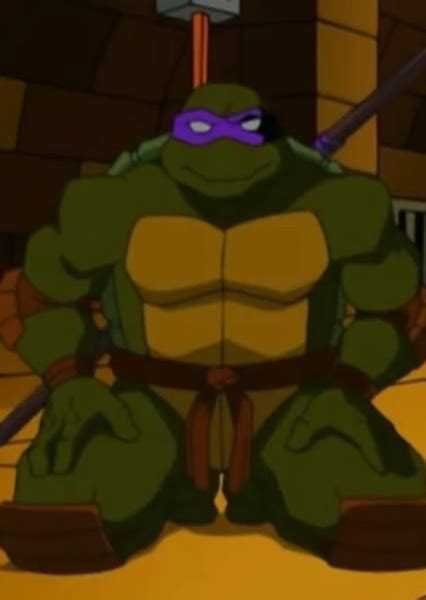 Donatello (TMNT 2003) on myCast - Fan Casting Your Favorite Stories