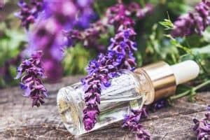 Lavender Soap Benefits: How To Get the Most Out of This Healing Herb – RusticWise