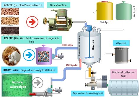 Bioengineering | Free Full-Text | Bioengineering to Accelerate Biodiesel Production for a ...