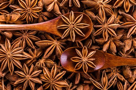 Free Images : star anise, spice, plant, herb, cinnamon stick, spoon ...