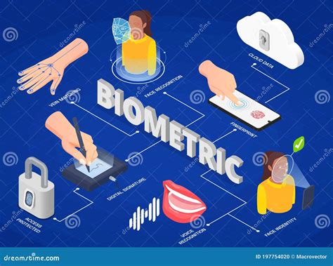 Biometric Authentication Infographics Stock Vector - Illustration of ...