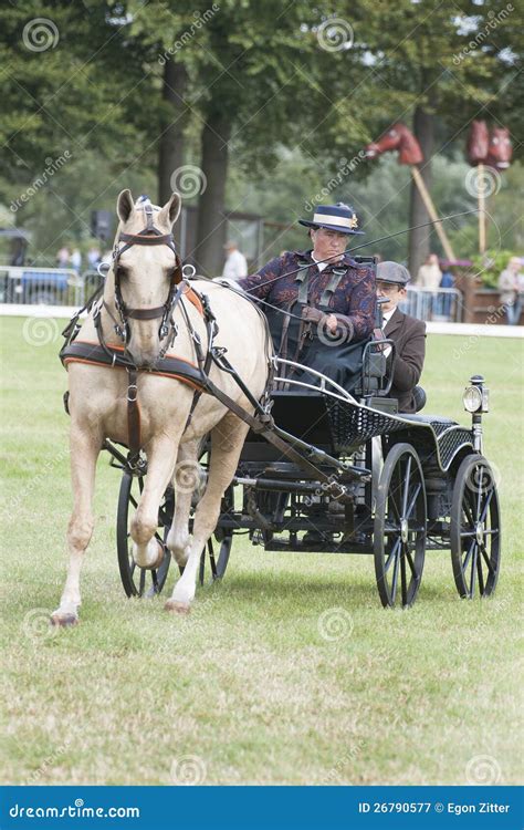 Horse Driving Competition Dressage Editorial Photography - Image of ...