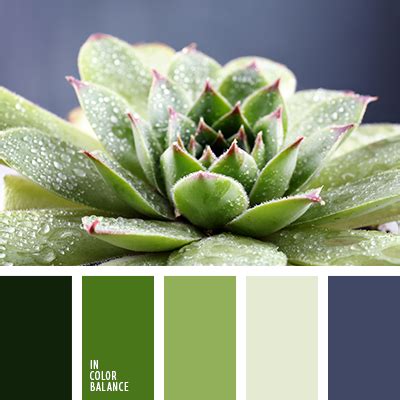 Palette de Couleurs #2859 | IN COLOR BALANCE