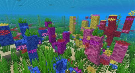 Minecraft coral reef mod - littlekum