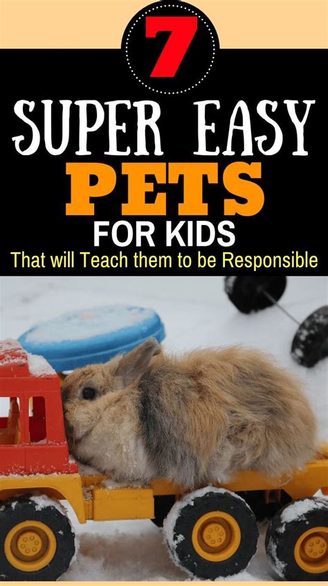 7 Low Maintenance Pets for Kids that Teach Responsibility - The Frugal ...