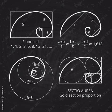 Scheme of golden ratio section, fibonacci spiral on blackboard vector illustration Stock Vector ...