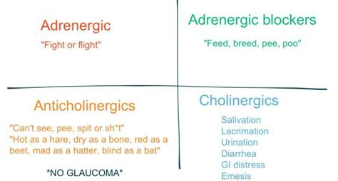 Adrenergic vs. Antiadrenergic vs. Cholinergic vs. Anticholinergic ...