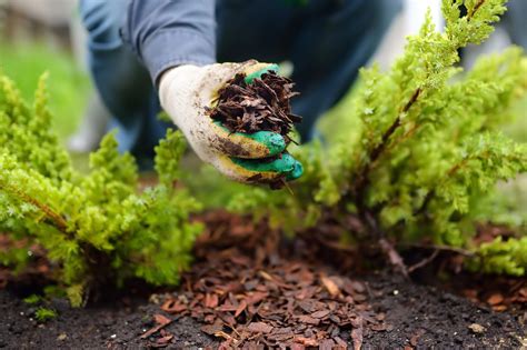 Mulch Installation - LawnMasterspeel