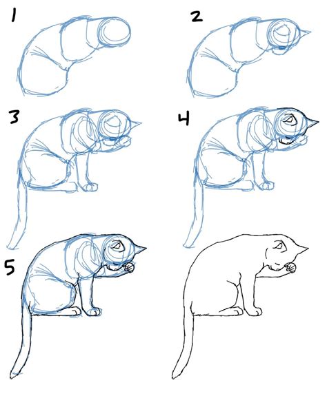 How to Draw Cat Bodies in Poses | Savanna Williams | Рисование, Эскизы животных, Рисунок животных