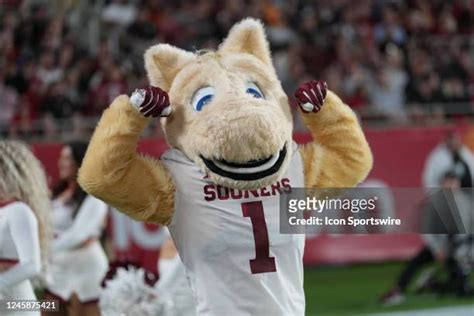 425 Oklahoma Sooner Mascot Stock Photos, High-Res Pictures, and Images - Getty Images