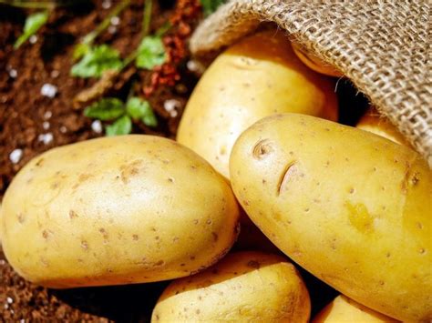 Why Do Potatoes Turn Black? (Explained) – LeafyJournal