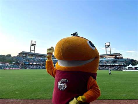 My night as a minor-league mascot: Sweating and dancing as the Curve’s Al Tuna - The Athletic