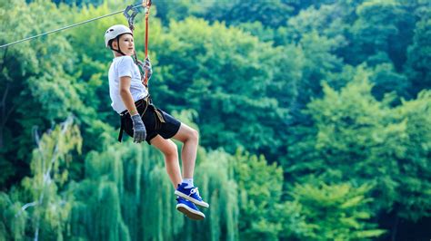 Les meilleurs parcs accrobranches et parcours dans les arbres en France