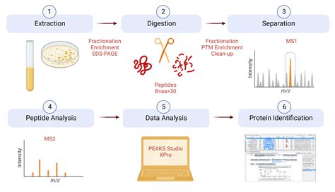 Protein ID info | Advanced Analysis Centre