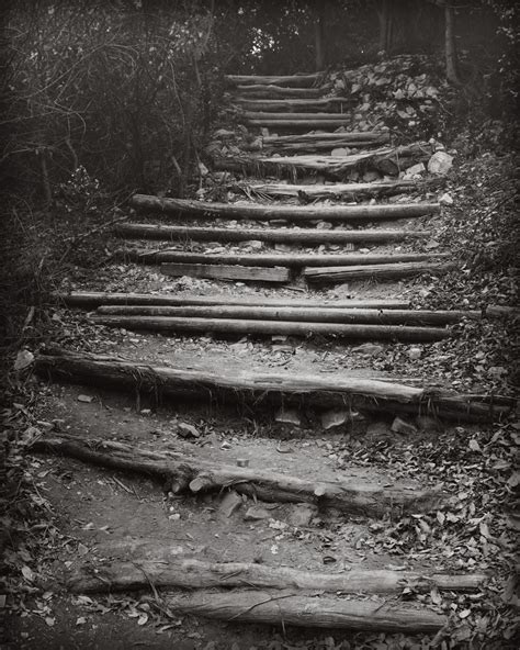 Hiking Stairs Free Stock Photo - Public Domain Pictures