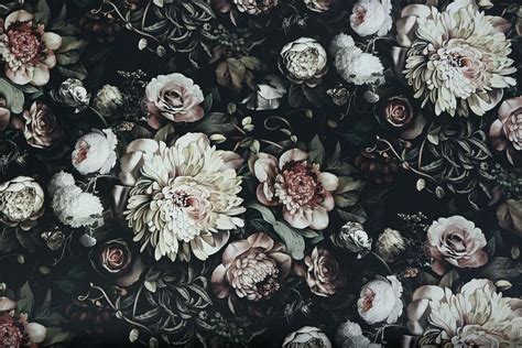 flowers on black wall - Google-søgning | 花, 壁紙, 綺麗