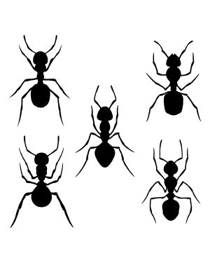 Ant Silhouette Clip Art