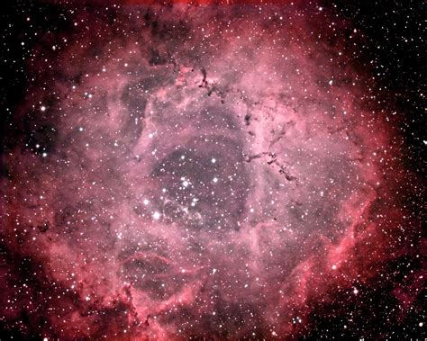 Rosette Nebula by Rhett Herring / 500px | Rosette nebula, Nebula, Rosettes