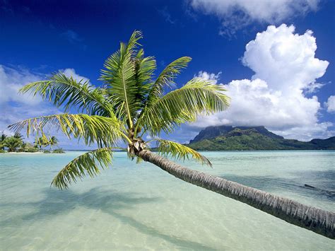 Tropical Escape Bora Bora French Polynesia postcard, Tropical Escape Bora Bora French Polynesia ...
