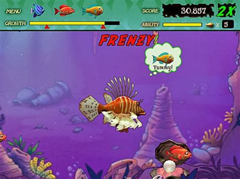 Feeding frenzy 2 full game free download - servetoo