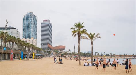 Visit Barceloneta Beach in Barcelona | Expedia