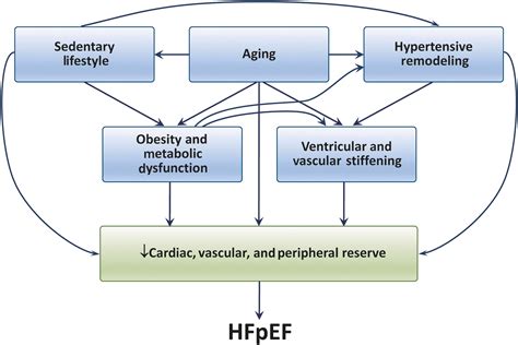 Pathophysiology of heart failure and an overview of therapies - Clinical Tree