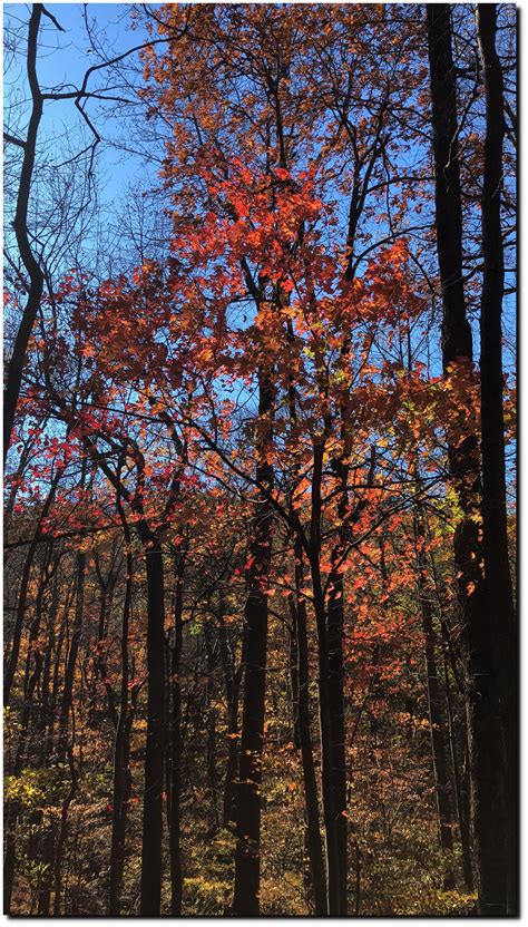 Hiking The Appalachian Trail | Real Climate Science