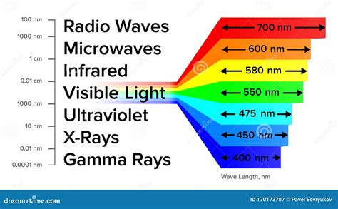 Electromagnetic Spectrum Information Gamma Rays Scheme Vector Royalty ...