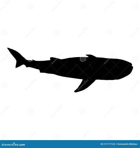 Vector Black Silhouette of Whale Shark Stock Vector - Illustration of ...