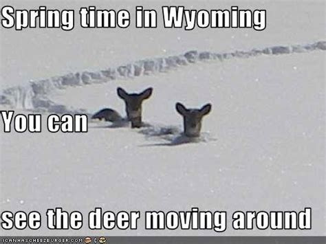 Wyoming Memes