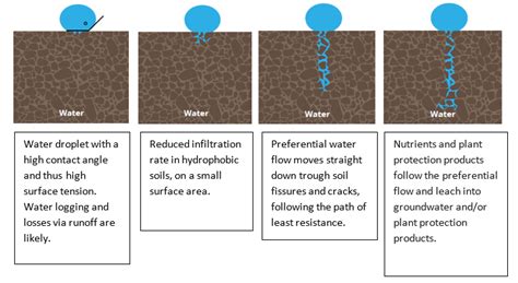 Why water won’t infiltrate hydrophobic soils | ICL Specialty Fertilizers