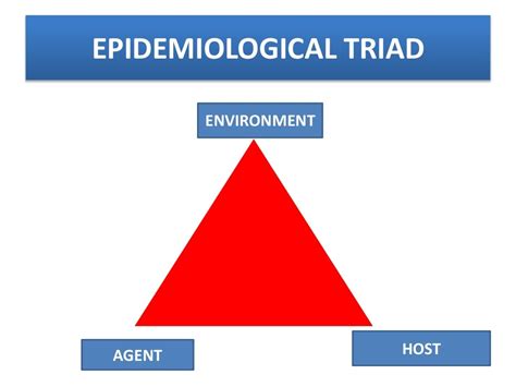 Epidemiological triad