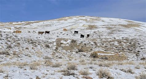 Nevada lithium mine gets conditional $700M government loan | Courthouse ...