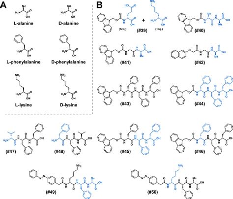 Chemical structures of L-and D-amino acids (A), and chemical structures... | Download Scientific ...