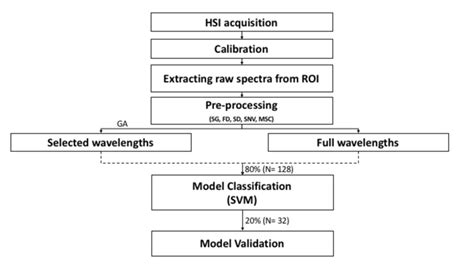 Schematic diagram of hyperspectral data analysis in this study 334 335 | Download Scientific Diagram