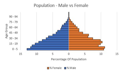 Excel Population Pyramid - Automate Excel