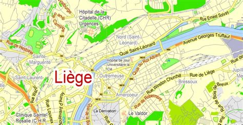 Liege, Belgium, printable vector map Adobe Illustrator editable, G-View ...