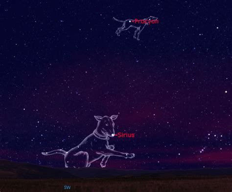 79+ Hunting Dogs Constellation - l2sanpiero