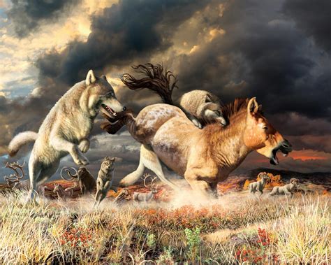 Gray Wolves Survived Ice-Age Extinction by Adapting Their Diet