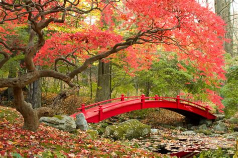 Japanese Autumn Desktop Wallpapers - Top Free Japanese Autumn Desktop Backgrounds - WallpaperAccess