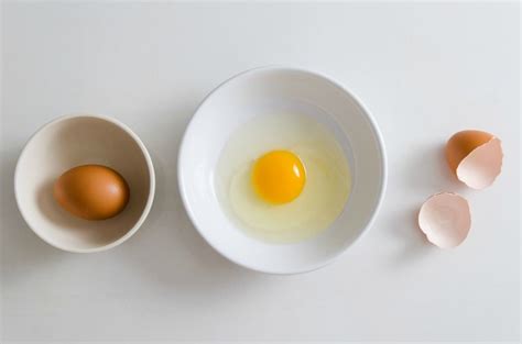 Can You Mix Raw Egg With Dog Food? (Safe or Poisonous)