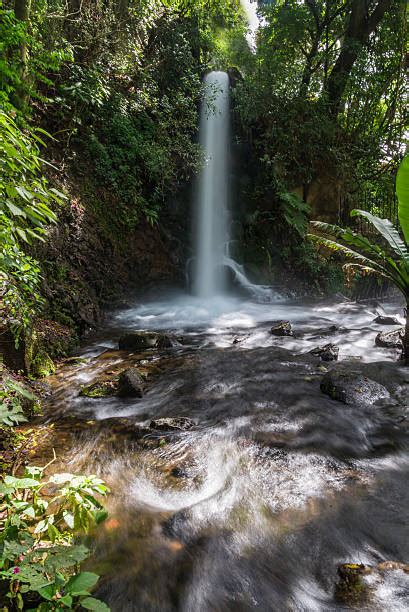 Waterfalls In Uruapan Michoacan Mexico Stock Photos, Pictures & Royalty ...