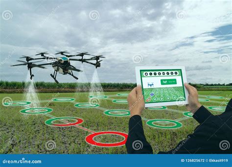 Iot Smart Agriculture Industry 4.0 Concept, Drone In Precision Farm Use For Spray A Water ...