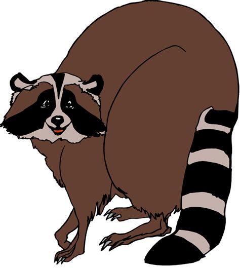 Free Images Of Raccoon, Download Free Images Of Raccoon png images, Free ClipArts on Clipart Library