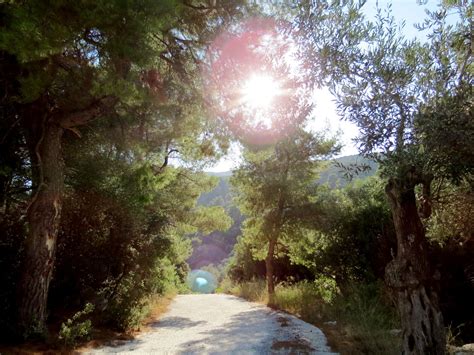 The Sister City Project: A Summer in Skiathos: Hiking in Skiathos